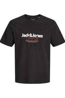Jack Jones Cassıs Regular Fit Erkek Tişört 12301961 