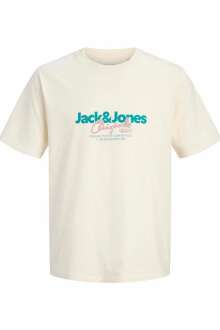 Jack Jones Cassıs Regular Fit Erkek Tişört 12301961 