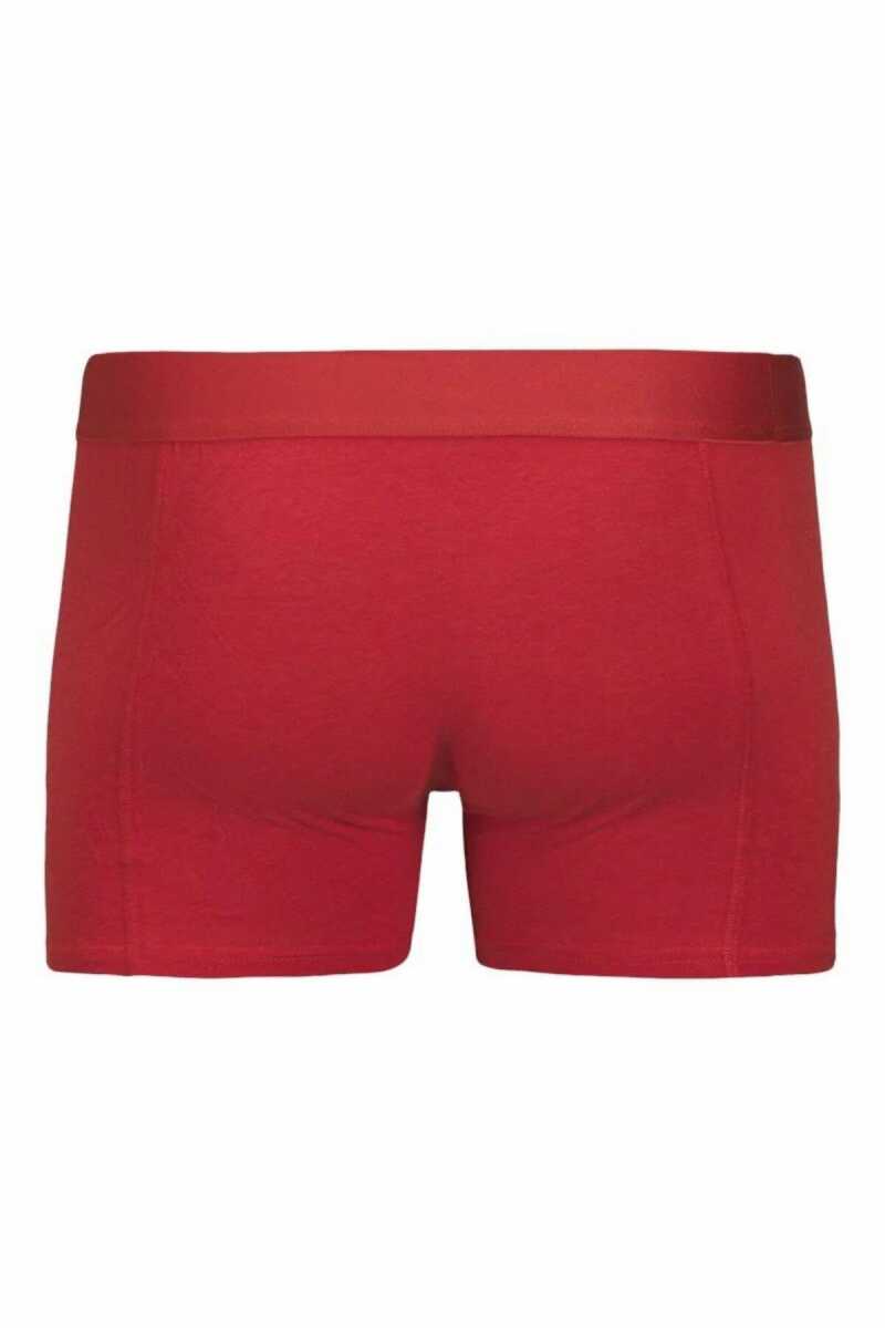 Jack Jones Cnyjah Banboo 3 Lü Paket Erkek Boxer 12281998 - 3