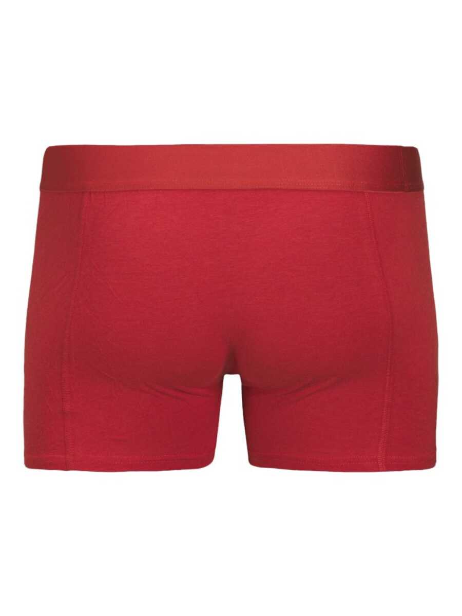 Jack Jones Cnyjah Banboo 3 Lü Paket Erkek Boxer 12281998 - 4