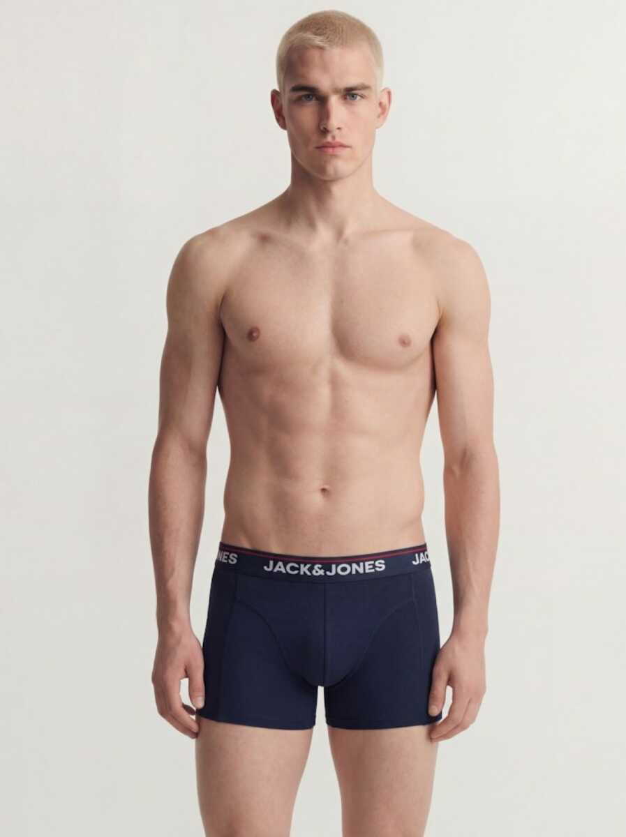 Jack Jones Dog Logo 3 Lü Paket Erkek Boxer 12291862 - 5
