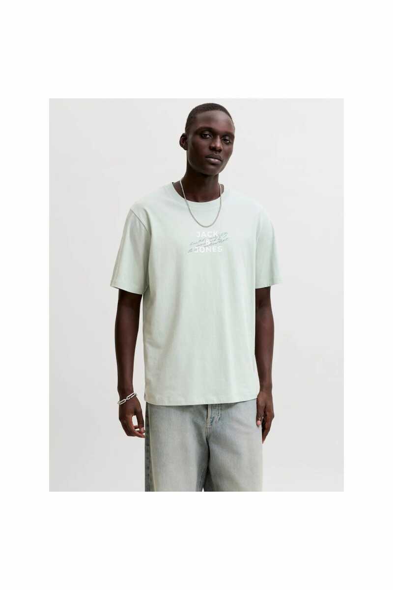 Jack Jones Etorna Front Print Regular Fit Erkek Tişört 12298583 - 1