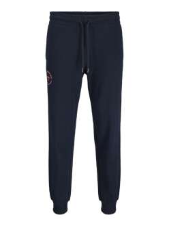 Jack Jones Gordan Sımon Erkek Eşofman Altı 12268442