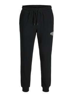 Jack Jones Gordon Makota Regular Fit Sweat Pant Erkek Eşofman Altı 12279104