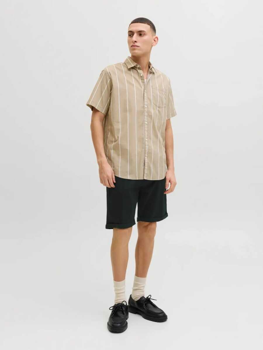 Jack Jones Trıck Dylan Orıgınal Regular Fit Erkek Şort 12288485 (1)