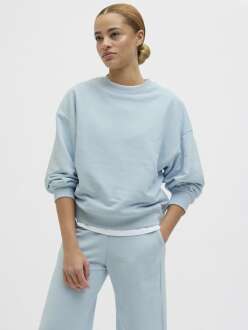 Jjxx Alfa Relax Fit Bisiklet Yaka Kadın Sweat 12248648