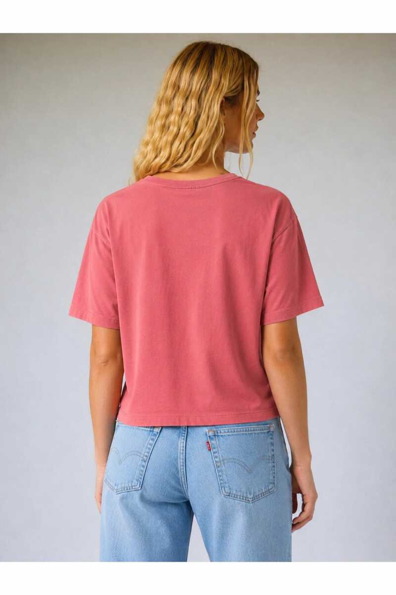 Levi's Gr Vıntage Tee Corded Scrıpt Logo Tameless Kadın Pembe Tişört 008C0-0003 (1)