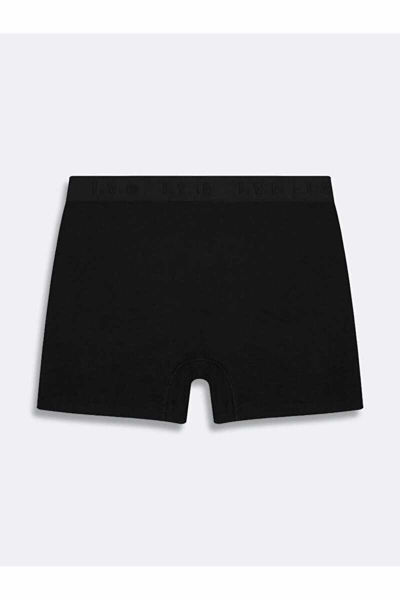 Ltb Henege Erkek Boxer - 2