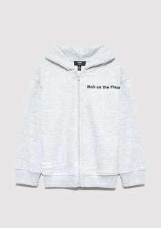 Mavi Baskılı Kapüşonlu Gri Çocuk Sweatshirt 6S10182-88467