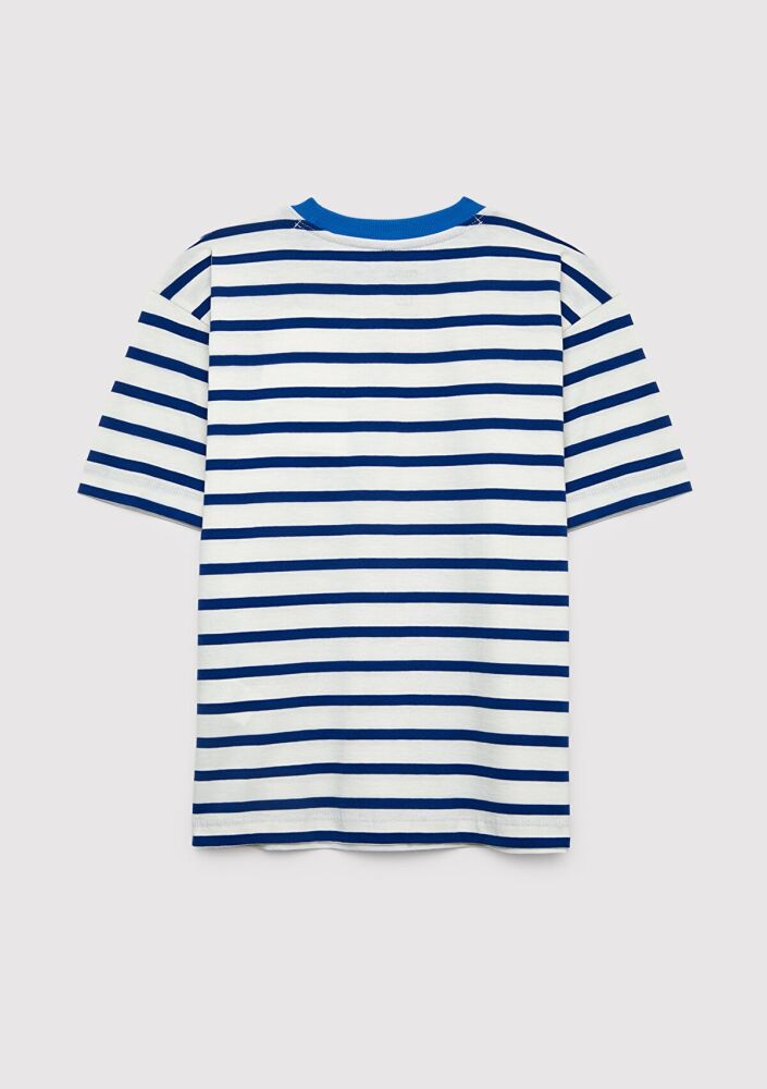 Mavi Baskılı Mavi Loose Fit Çocuk Tişört 6610468-86975 (1)
