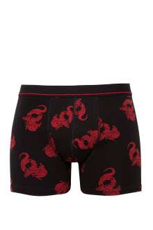 Mavi Desenli Boxer Siyah 0910084-900 