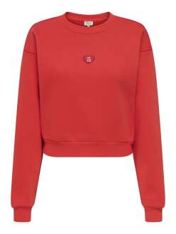 Only Evısa Regular Fit Kadın Sweat 15358296 