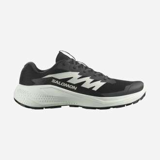Salomon Alphaglıde Erkek Ayakkabı L47801000