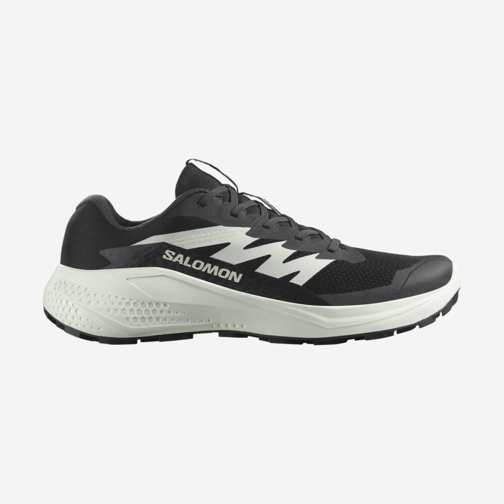 Salomon Alphaglıde Erkek Ayakkabı L47801000