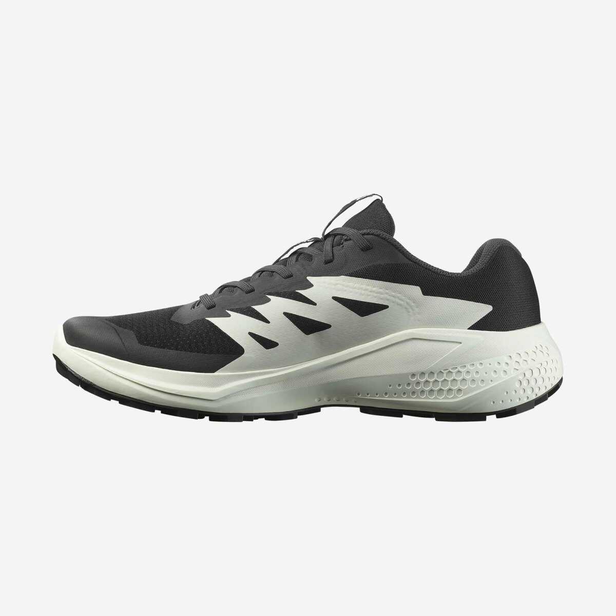 Salomon Alphaglıde Erkek Ayakkabı L47801000 - 3