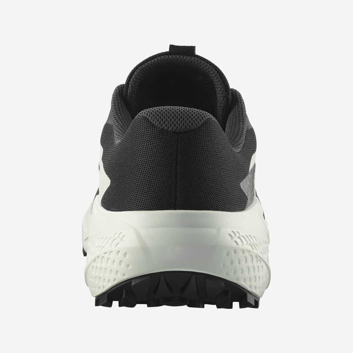 Salomon Alphaglıde Erkek Ayakkabı L47801000 - 4