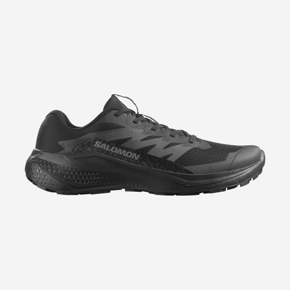 Salomon Alphaglıde Erkek Ayakkabı L47948300
