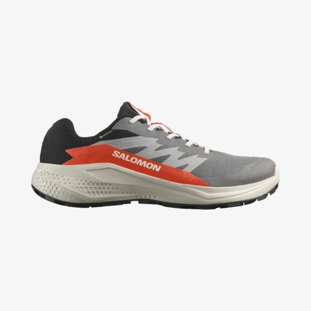 Salomon Alphaglide Gore-Tex Erkek Ayakkabı L47975300