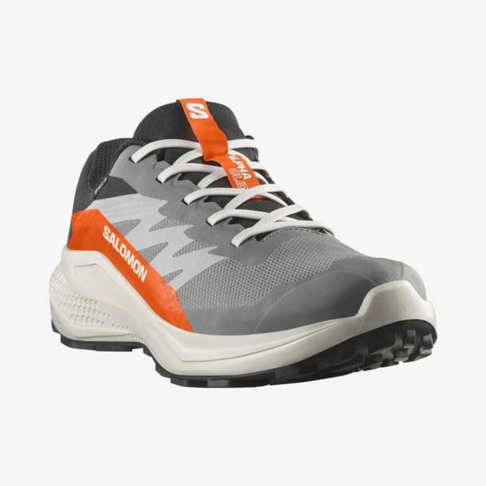 Salomon Alphaglide Gore-Tex Erkek Ayakkabı L47975300 (1)