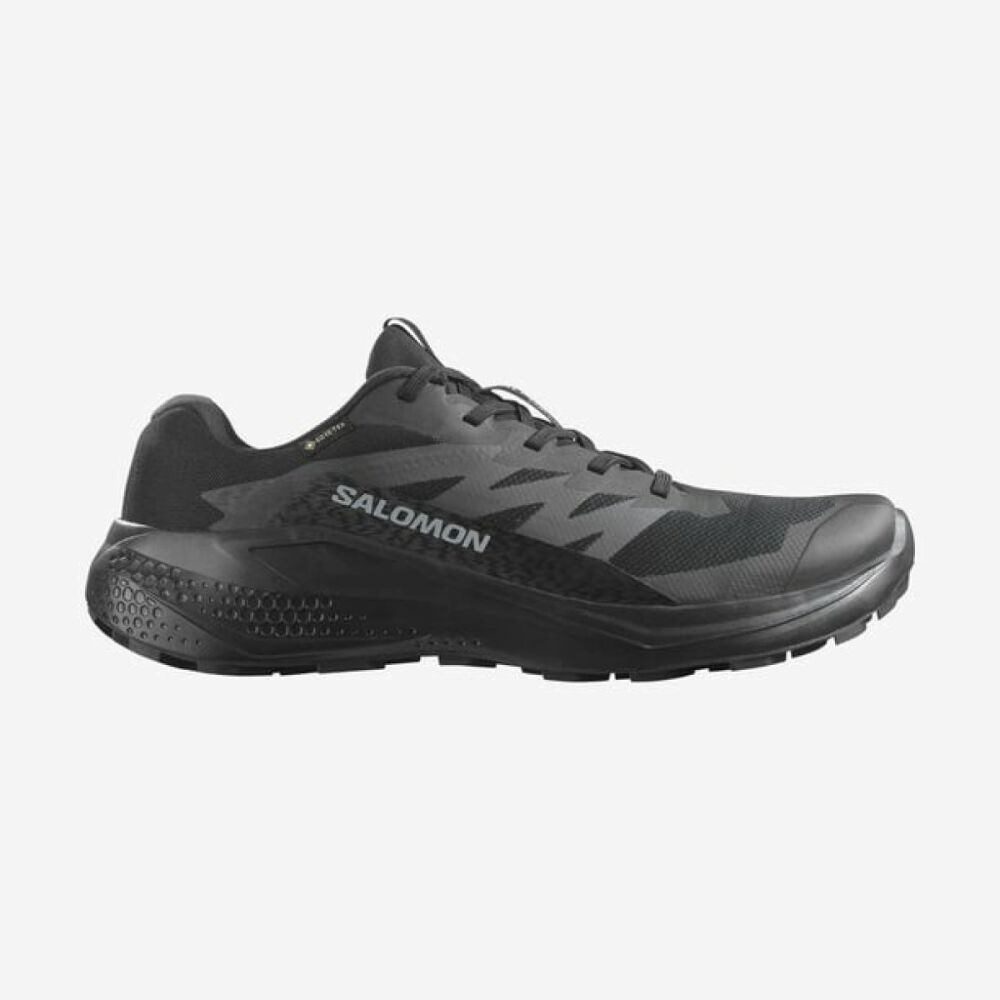 Salomon Alphaglıge Gore-Tex Erkek Ayakkabı L47802100